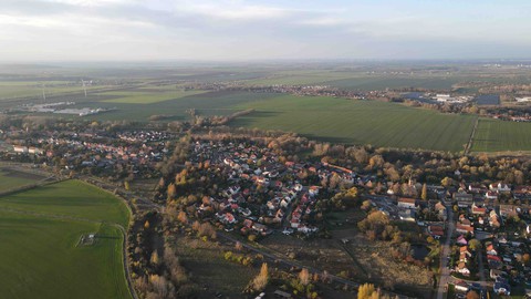 Birds view