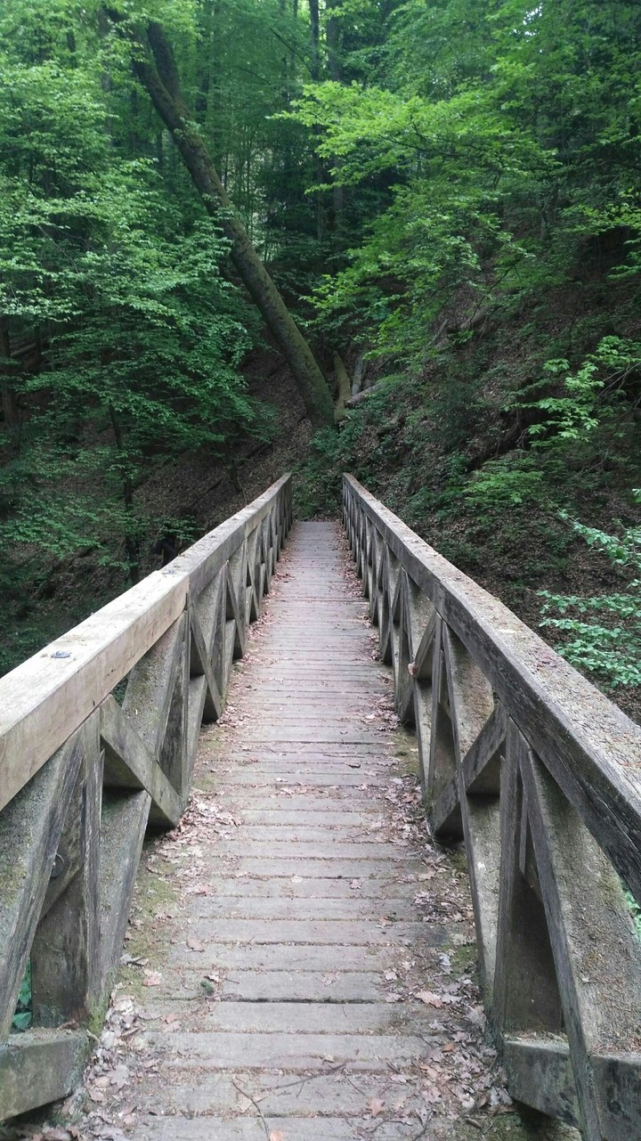 Bridge