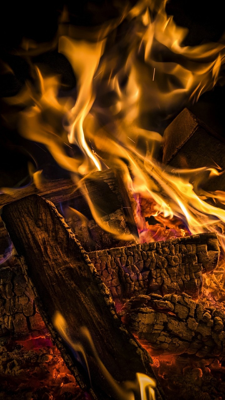 Bonfire
