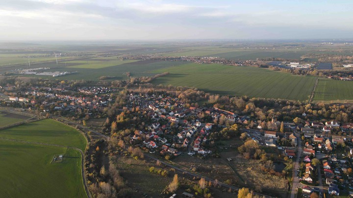 Birds view