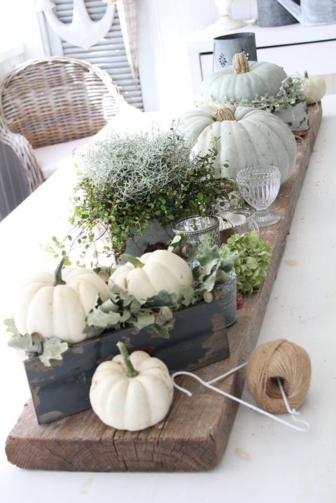 pumpkins season