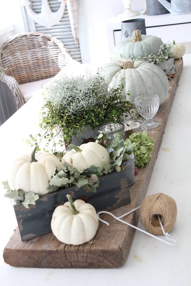 pumpkins season