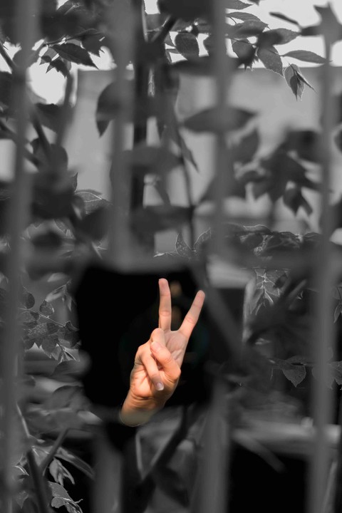peace