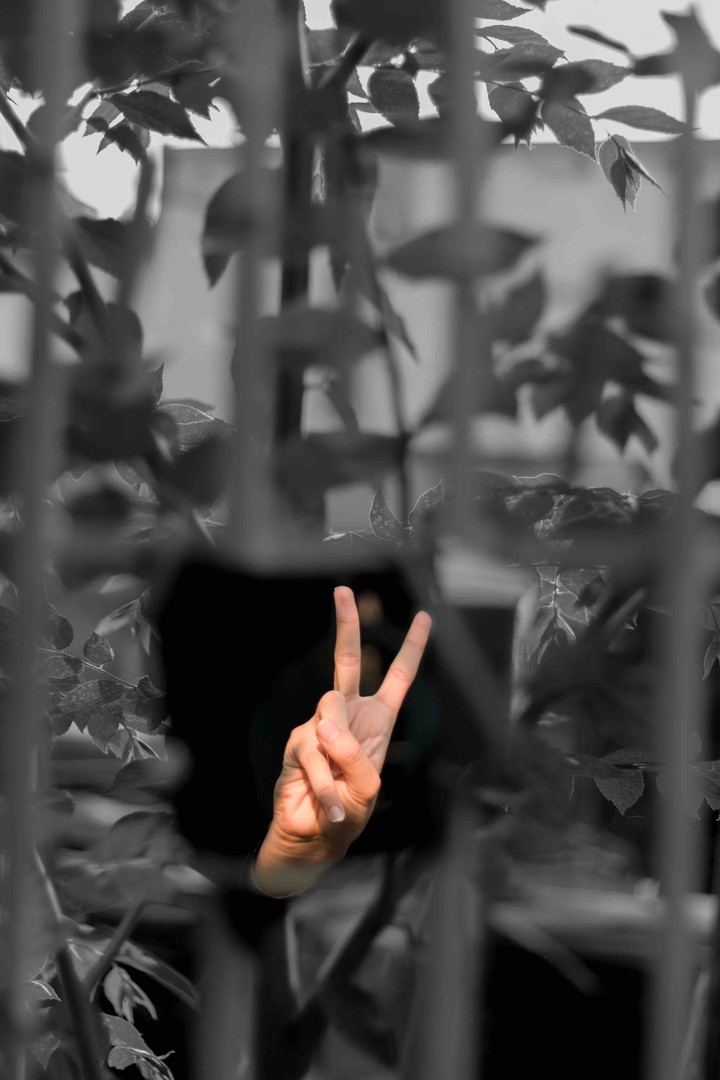 peace