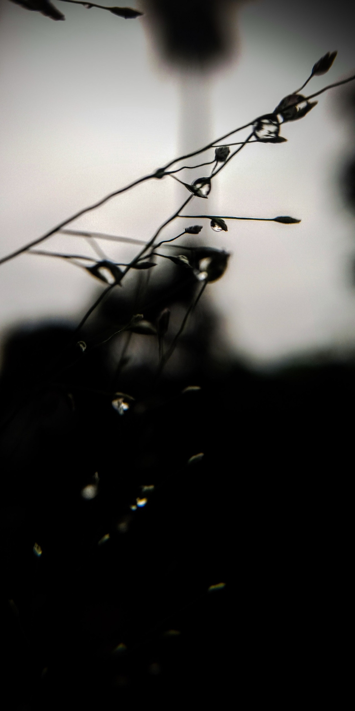 tiny things are the most beautiful in nature