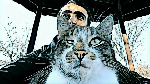 cat love