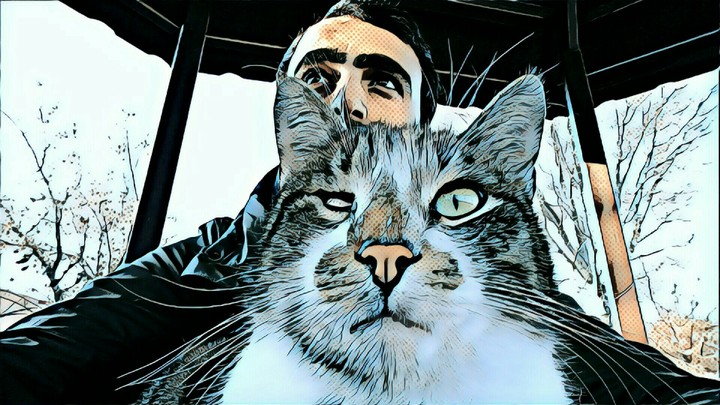 cat love