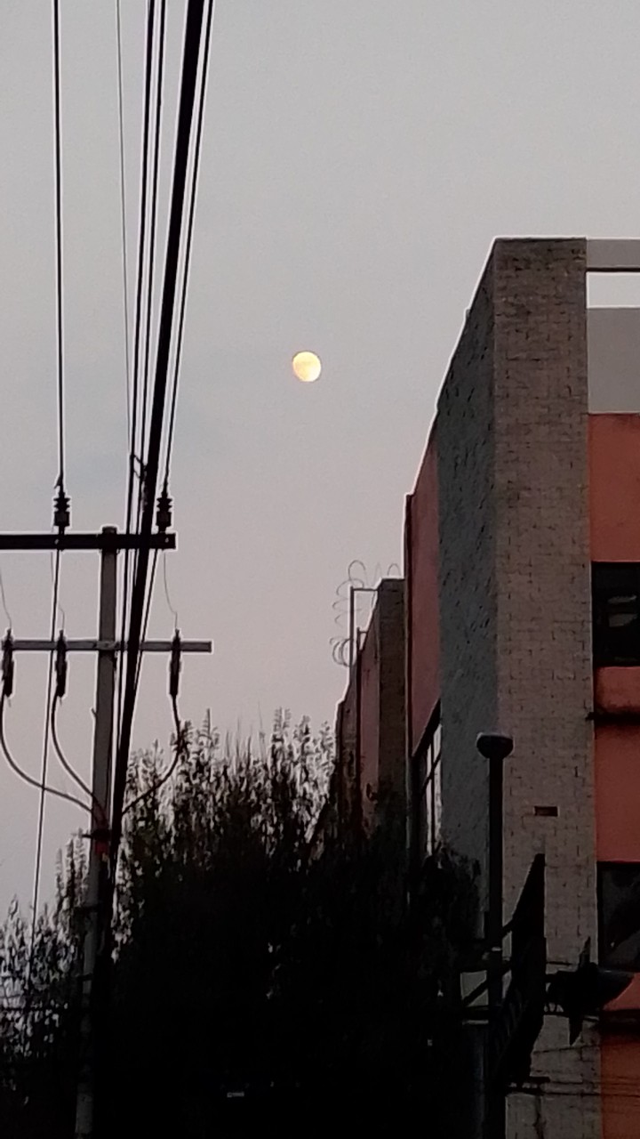 Luna