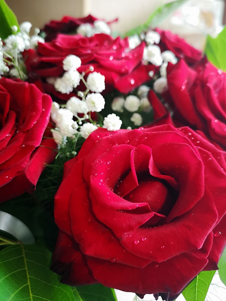 roses