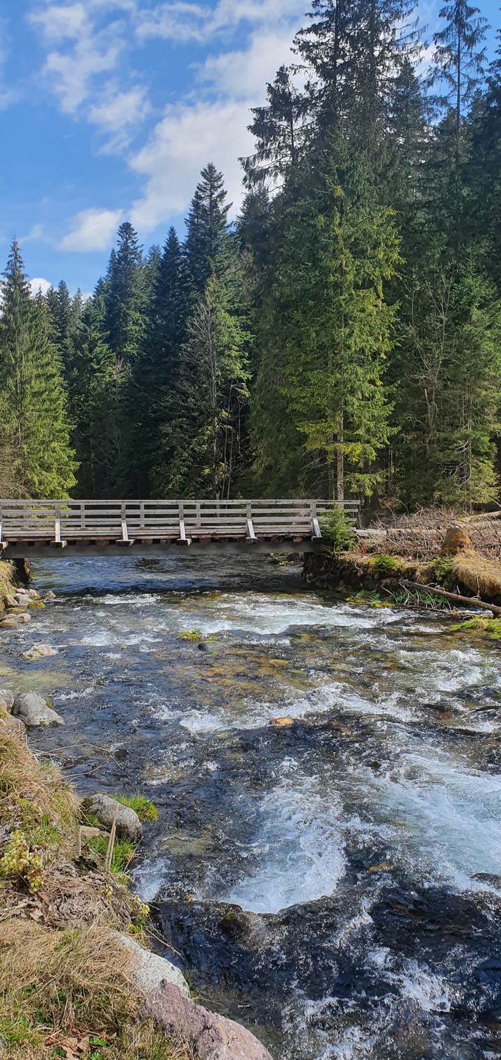 Bridge