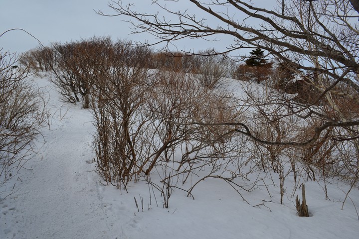 지리산이미지