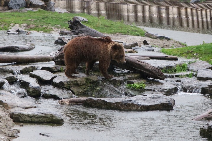 Pairi Daiza