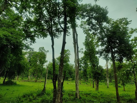 Beauty of the nature