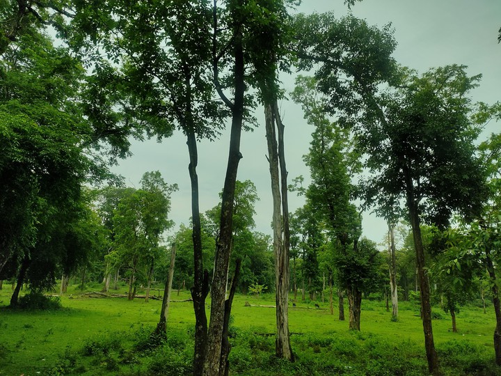 Beauty of the nature