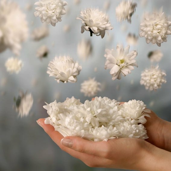 jasmine