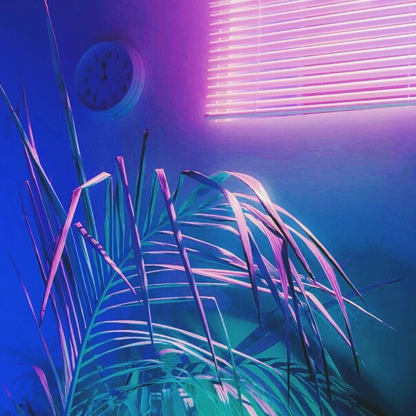 Neon plant