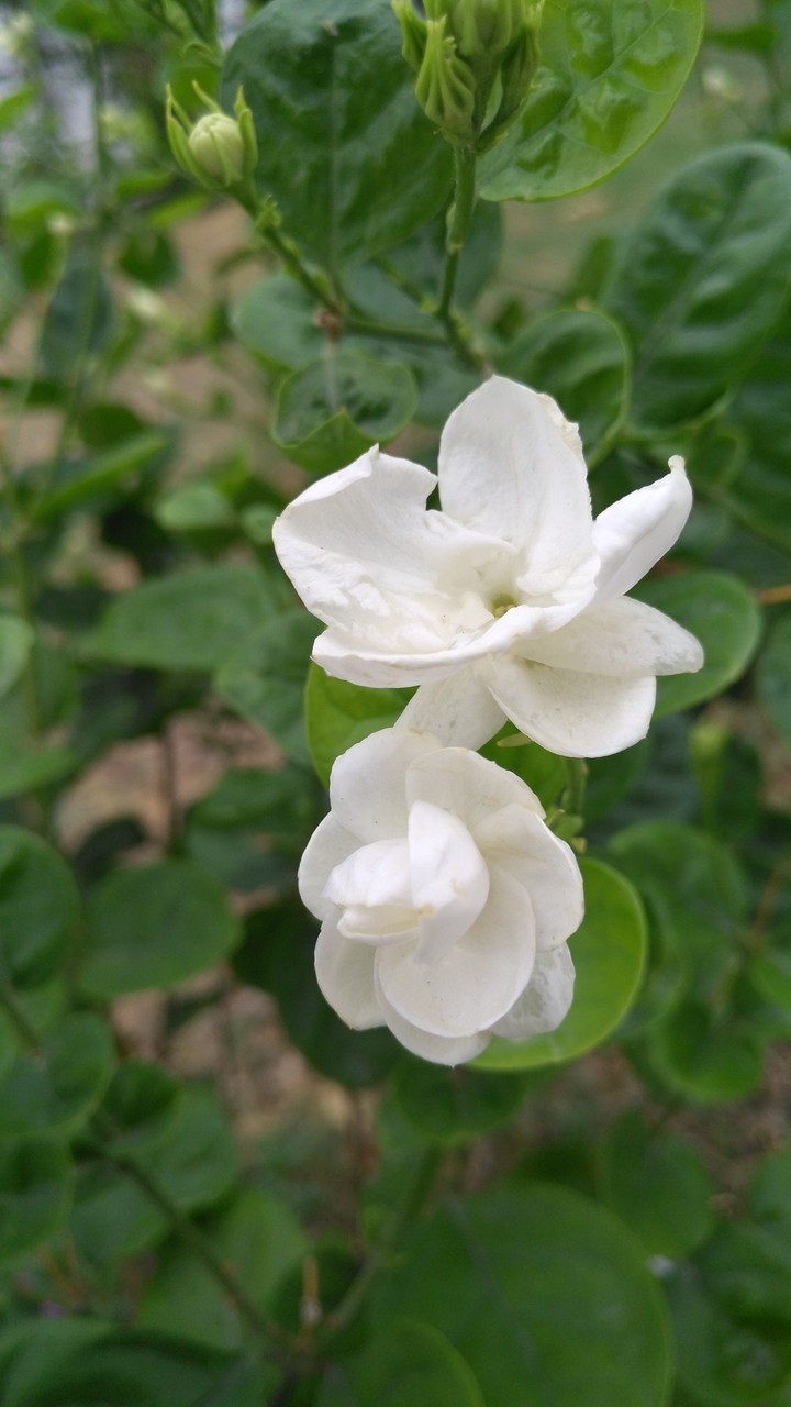 all