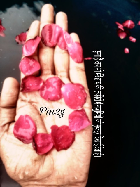 Pin2g