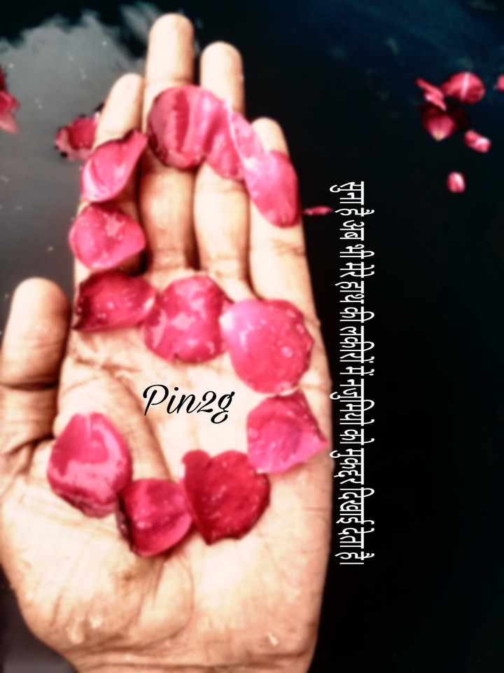 Pin2g