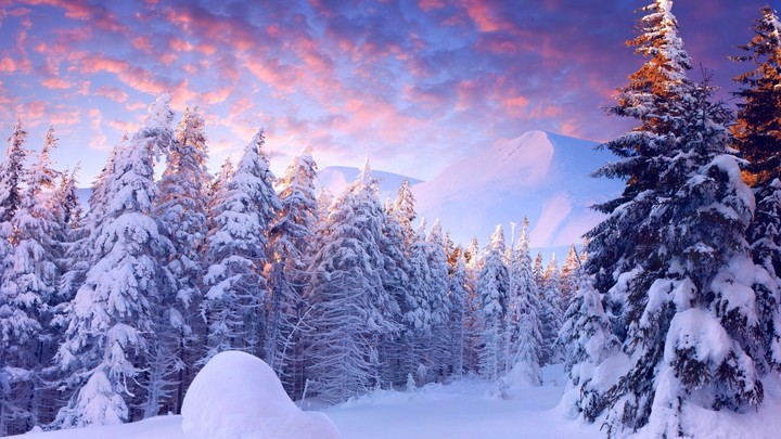 Winter