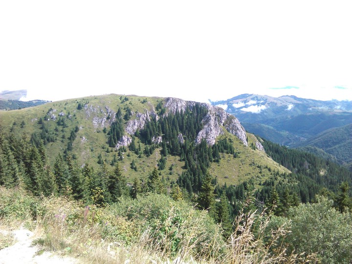 Serbian wild(White rocks)