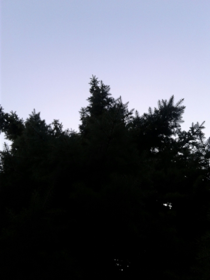 ¤¤¤
