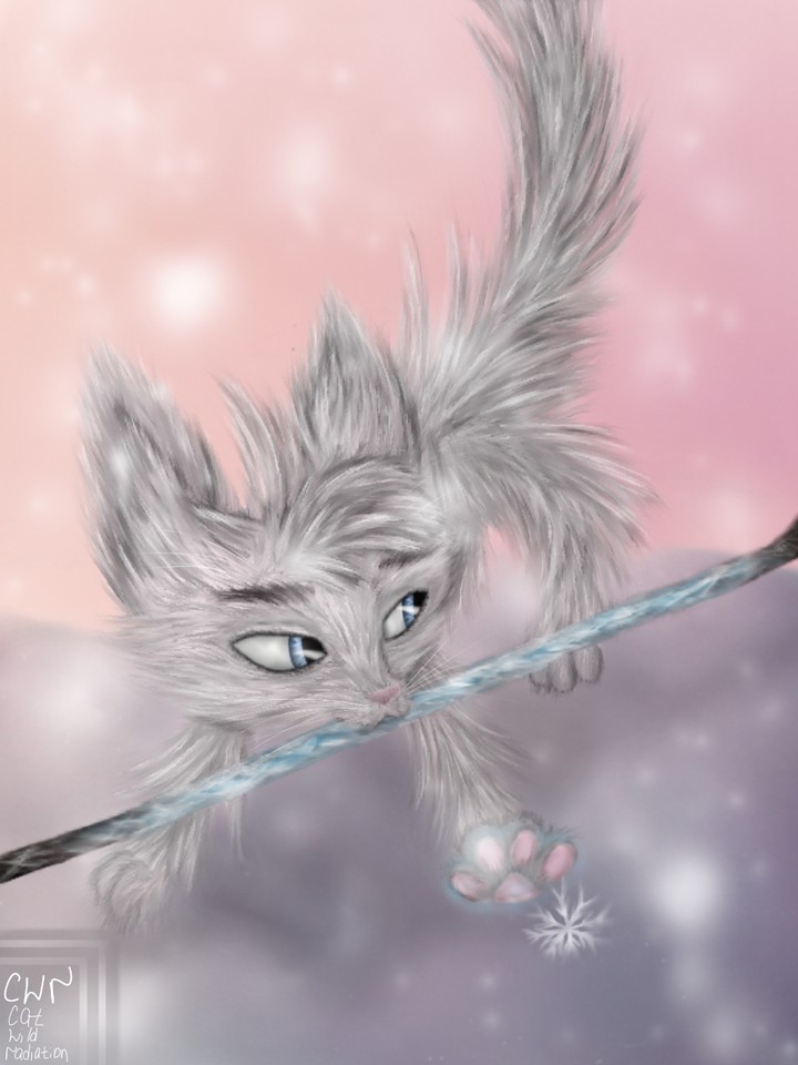 Jack Frost, if he was a cat