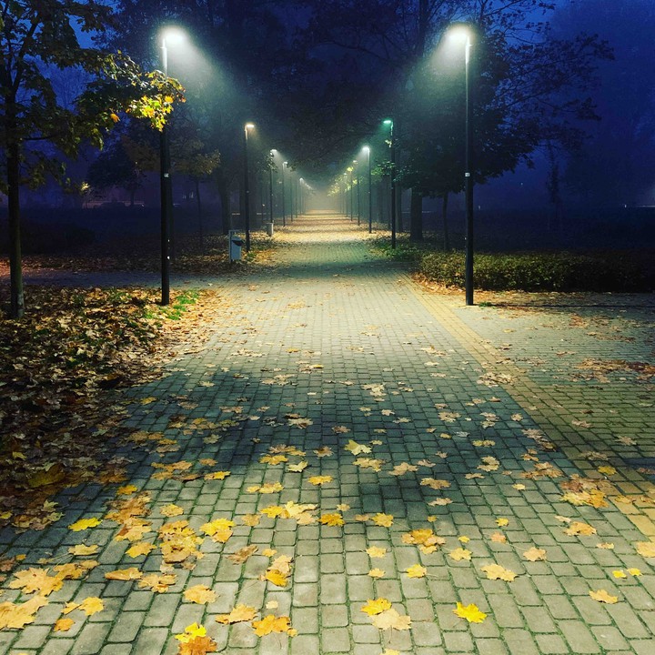 no people
