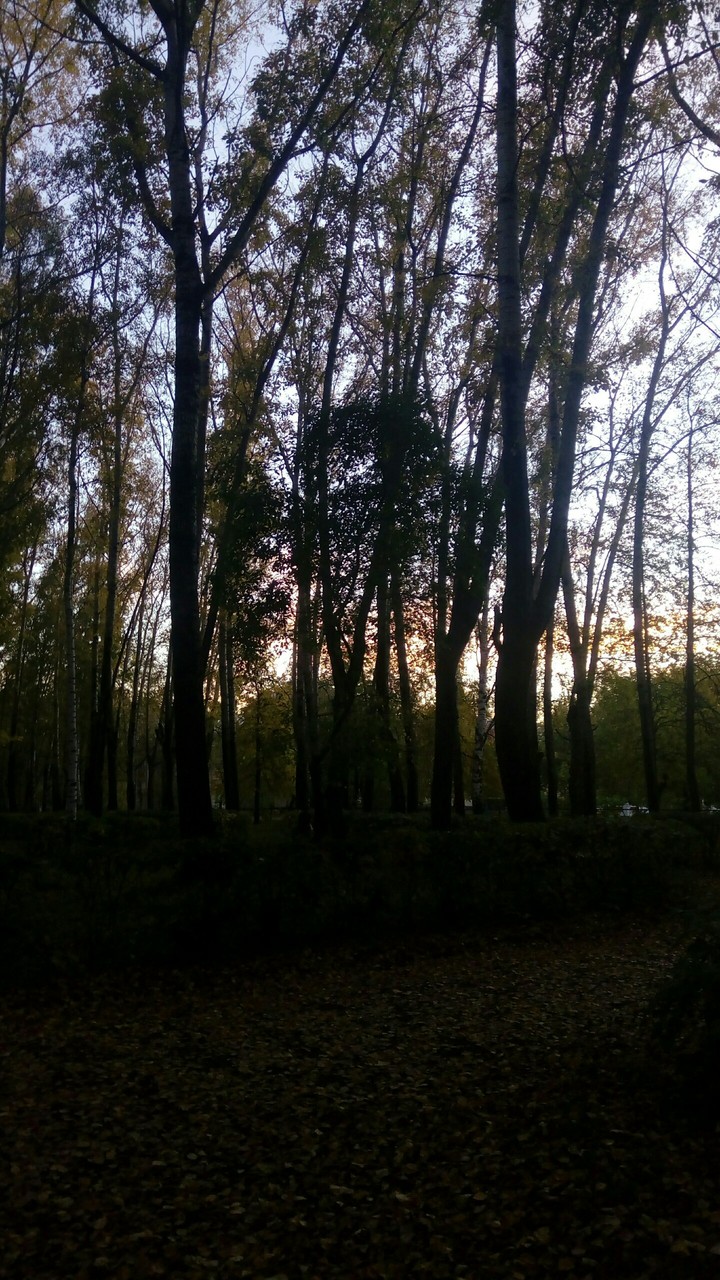 осень