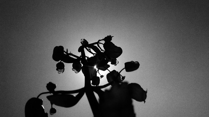 Monochrome!