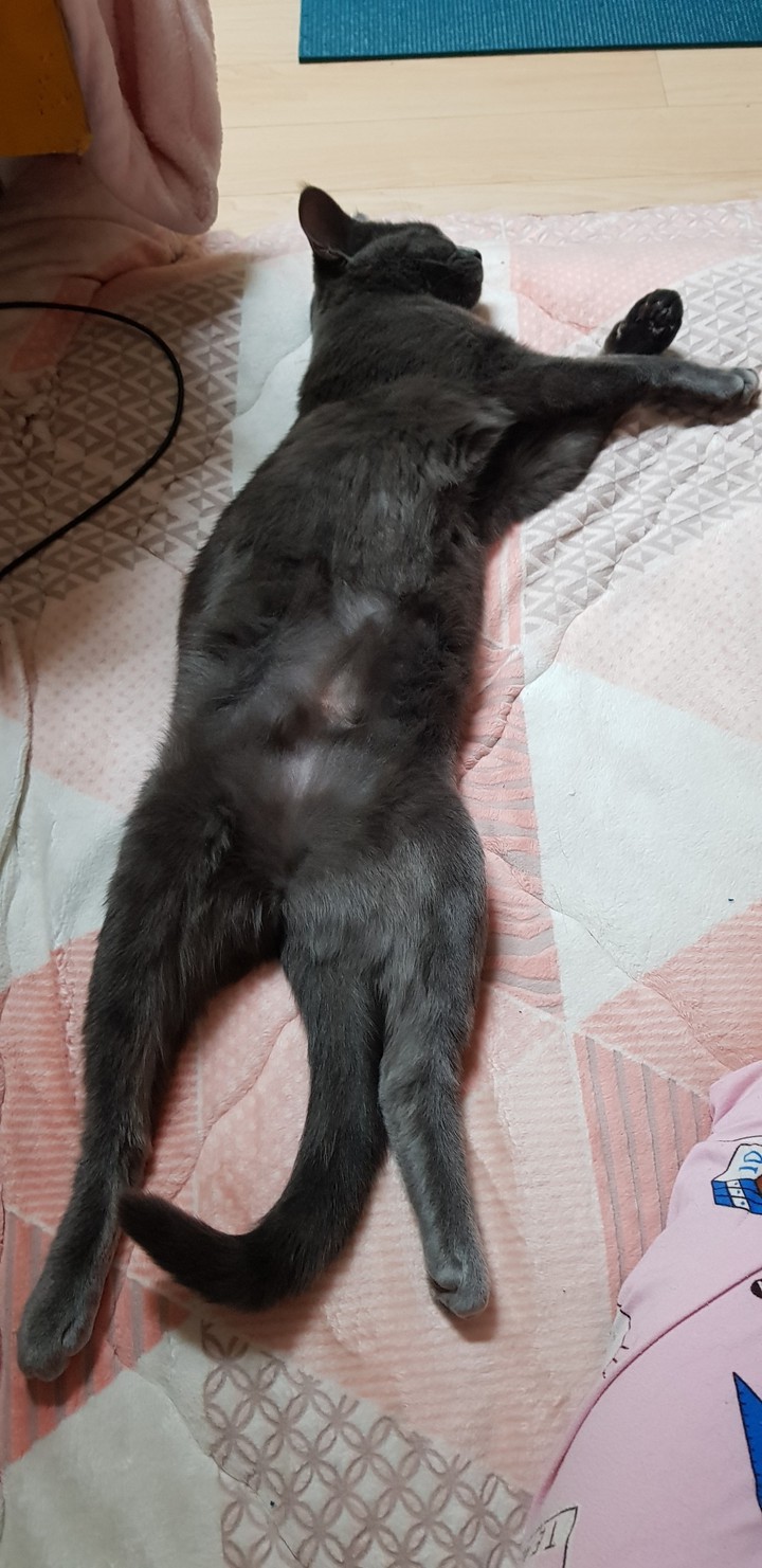 자는거봐요 ㅋㅋ
