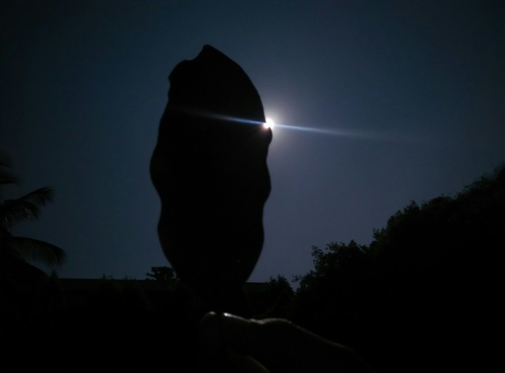 sun