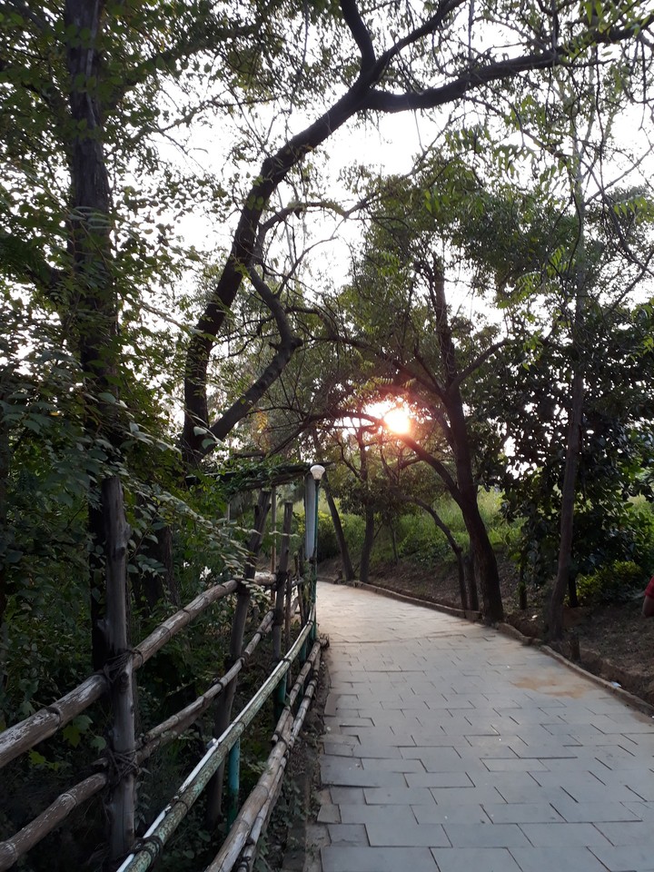 Sun