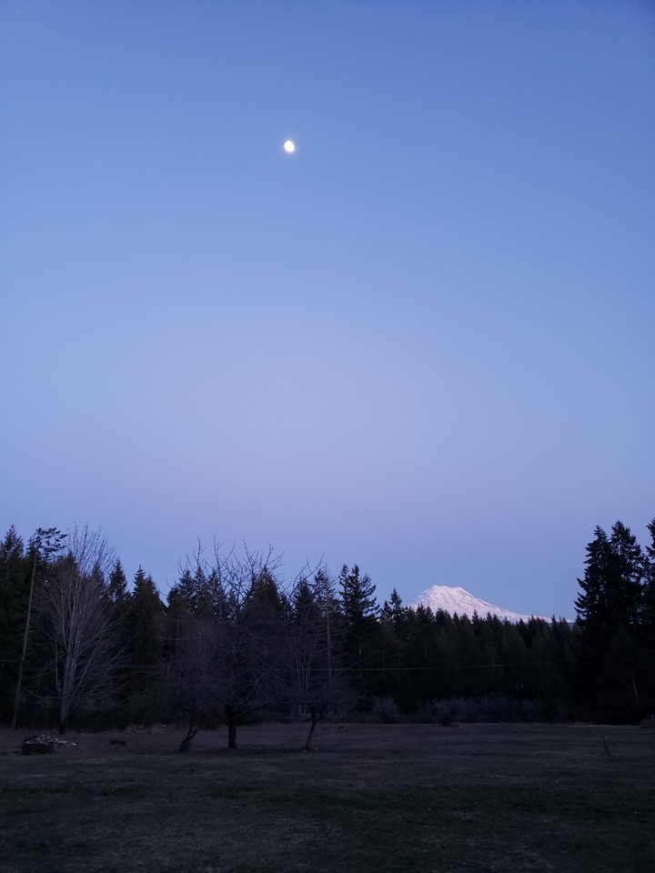 moon over Mt. Rainier
