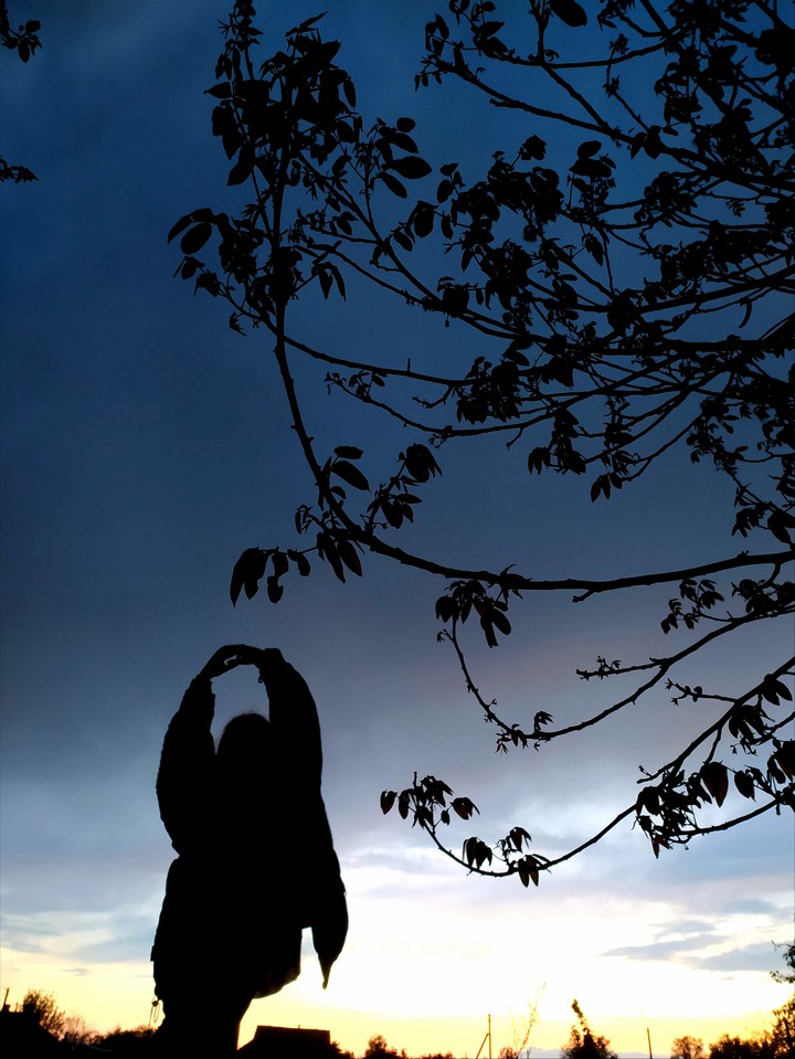 Silhouette