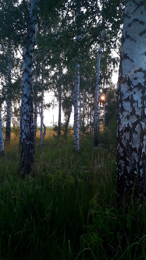 08.06.2019