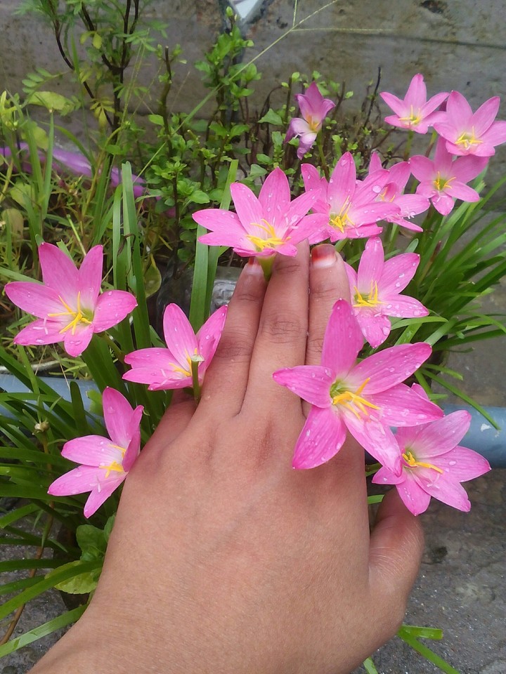Happiness of rainy season
