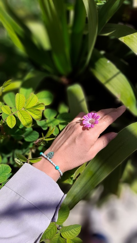 flower, purple wallpapers