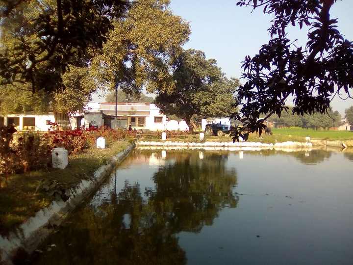my favourite place. When I'am tired I use to seat hear