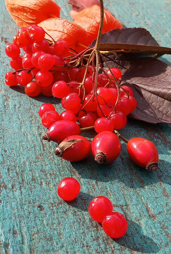 autumn berries