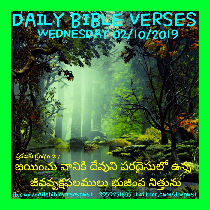Daily Bible Verses