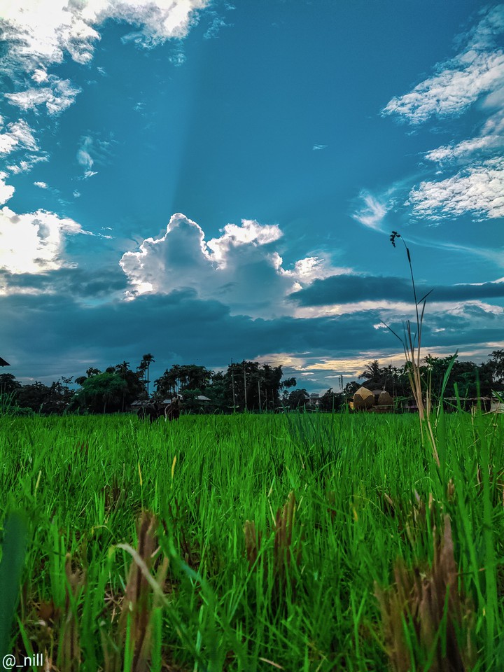 নদীর পার