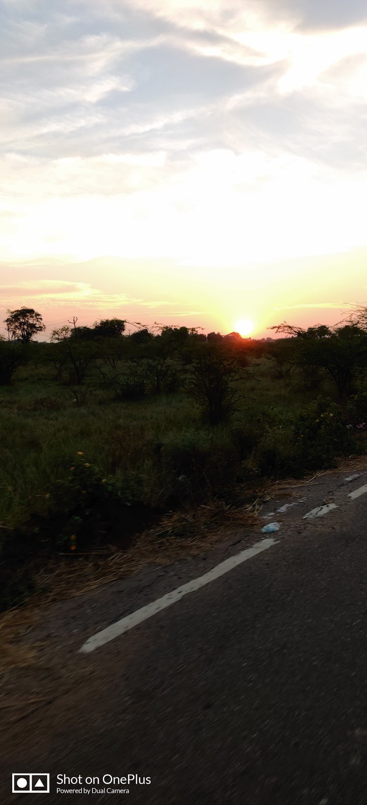 sunset