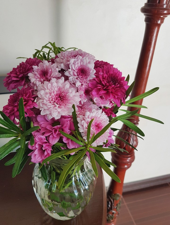 shades of purple