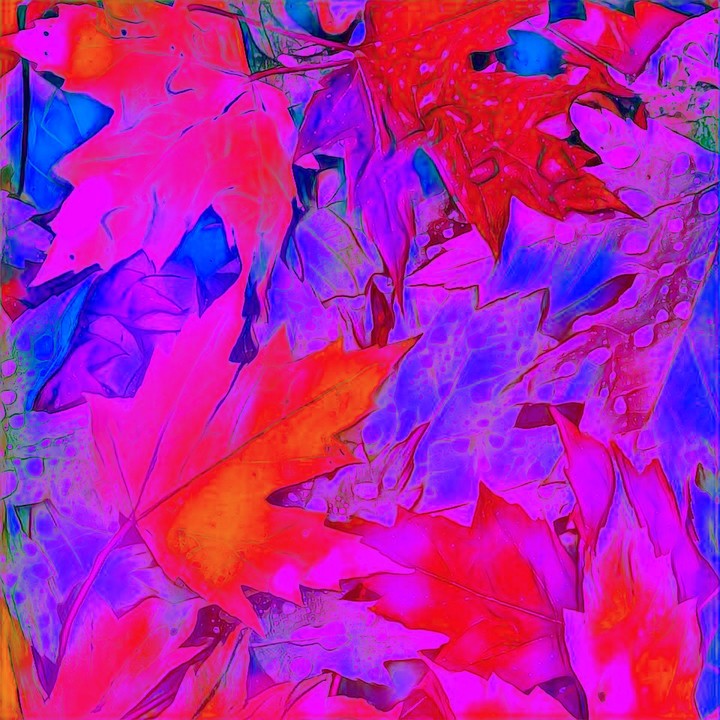 Colorful leaves