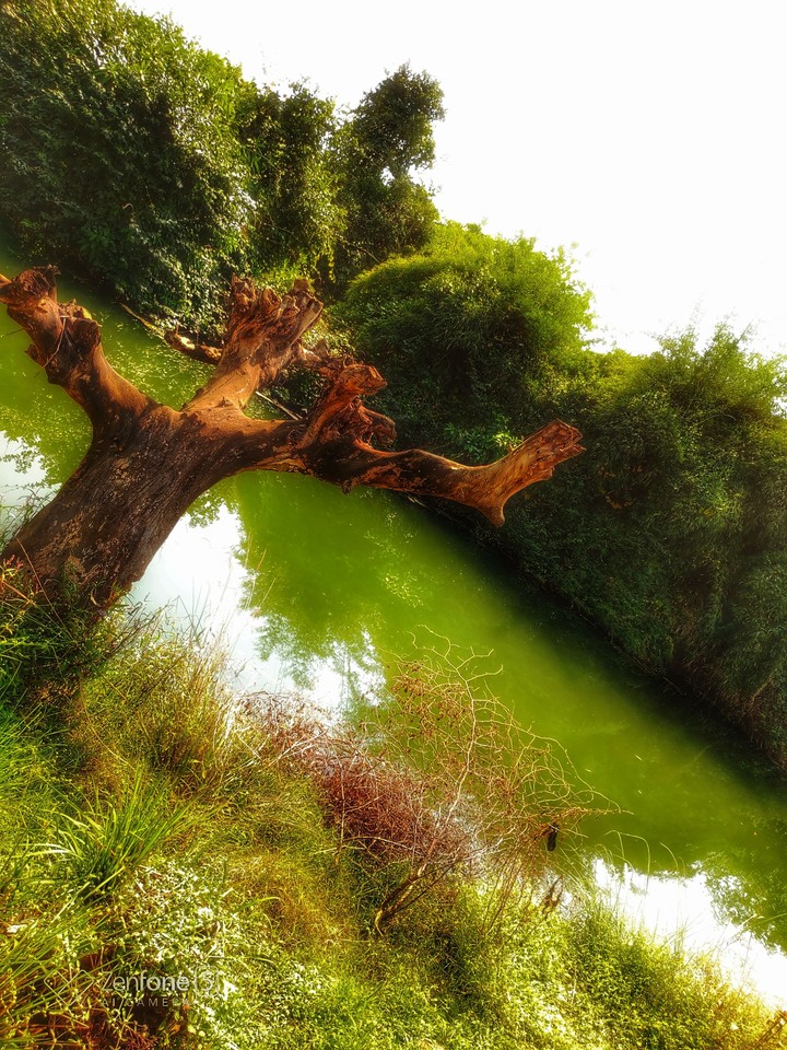 uncharted path of village