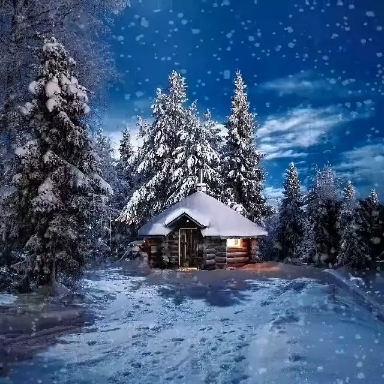 Nature ❄️❄️❄️
