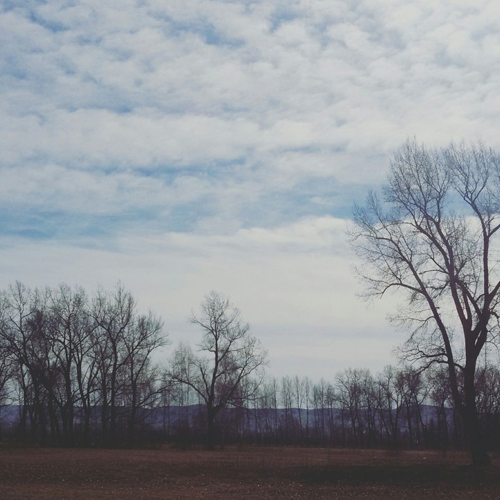 morning