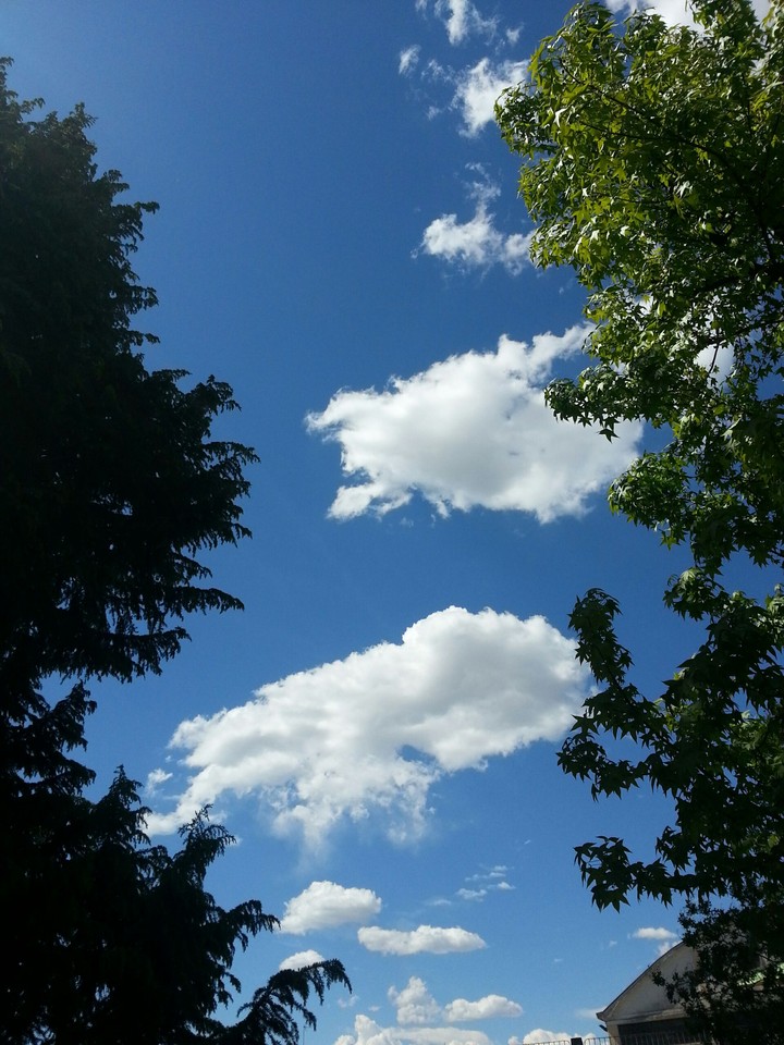 nuvole