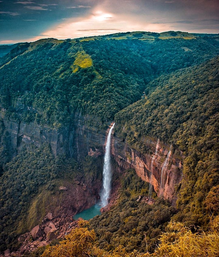 Amazing Nature